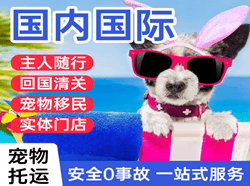 嫩江墨尔根空运国际宠物托运 【国